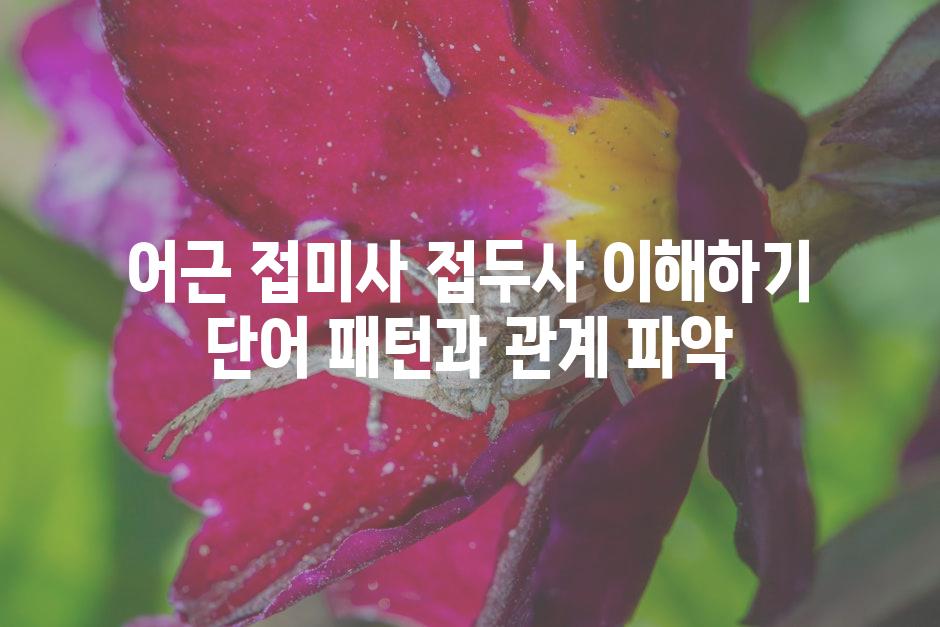 어근 접미사 접두사 이해하기 단어 패턴과 관계 파악