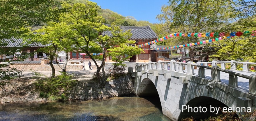  [고창여행1-1]#사인여행 #패키지 #프라이빗투어 #고창여행 #선운사 #허영만의백반기행맛집 #뭉치네집