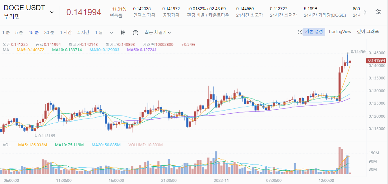  DOGE 코인 전망 도지 코인 상승 도지 화성 간다?