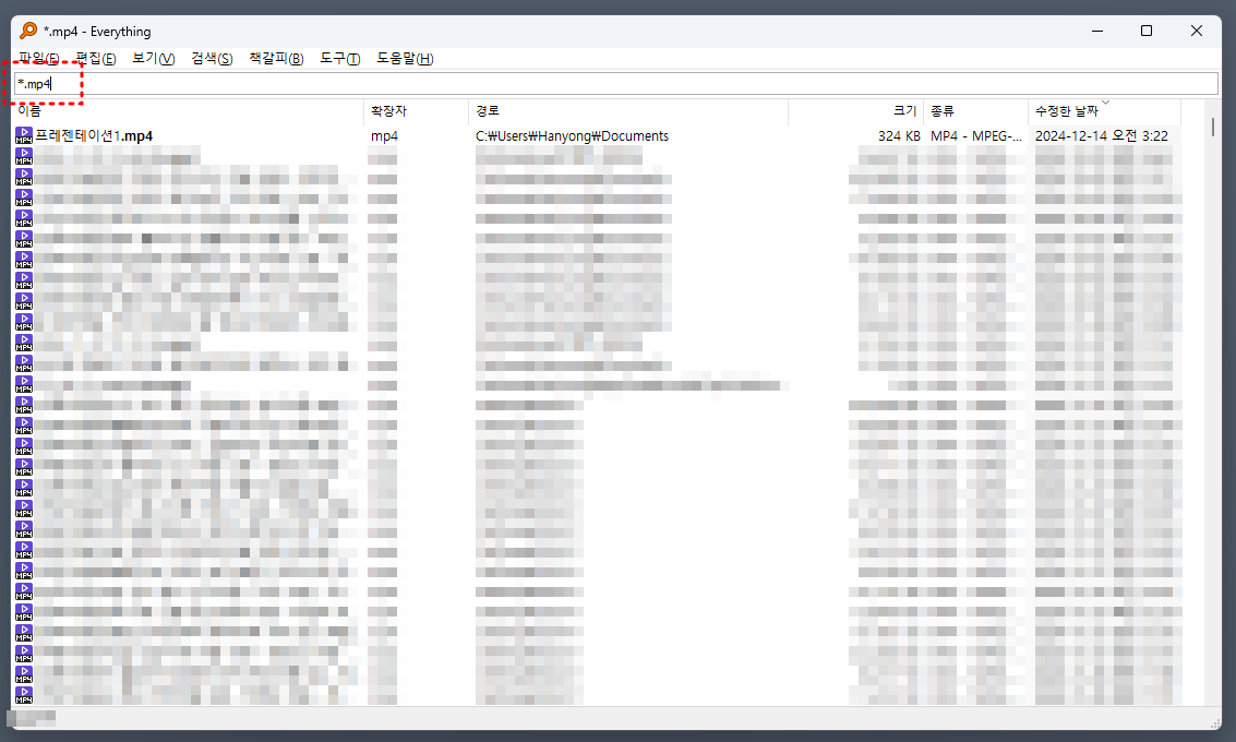 mp4 파일만 확인