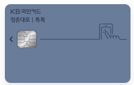 kb 국민 청춘대로 톡톡 카드