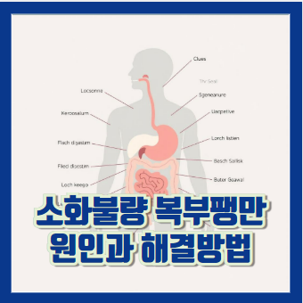 소화불량