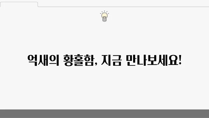 상사화군락지
