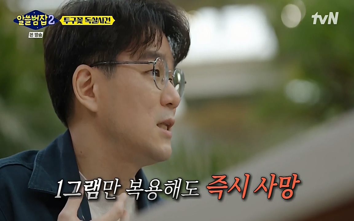 알쓸범잡 2.E15.220425p-NEXT.mp4_20220425_180313.224.jpg