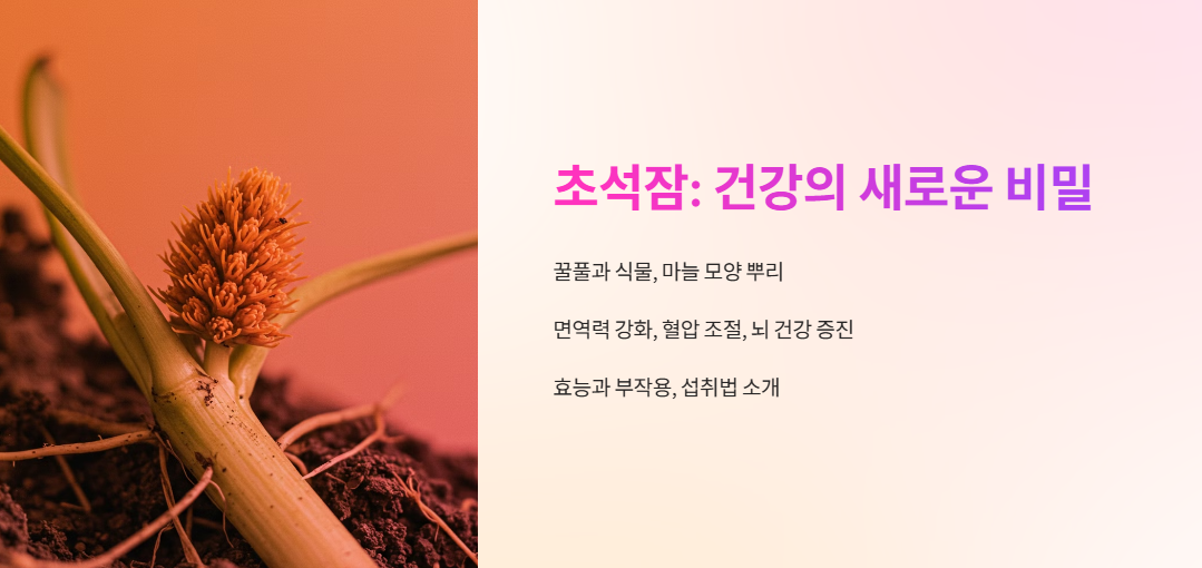 초석잠 설명