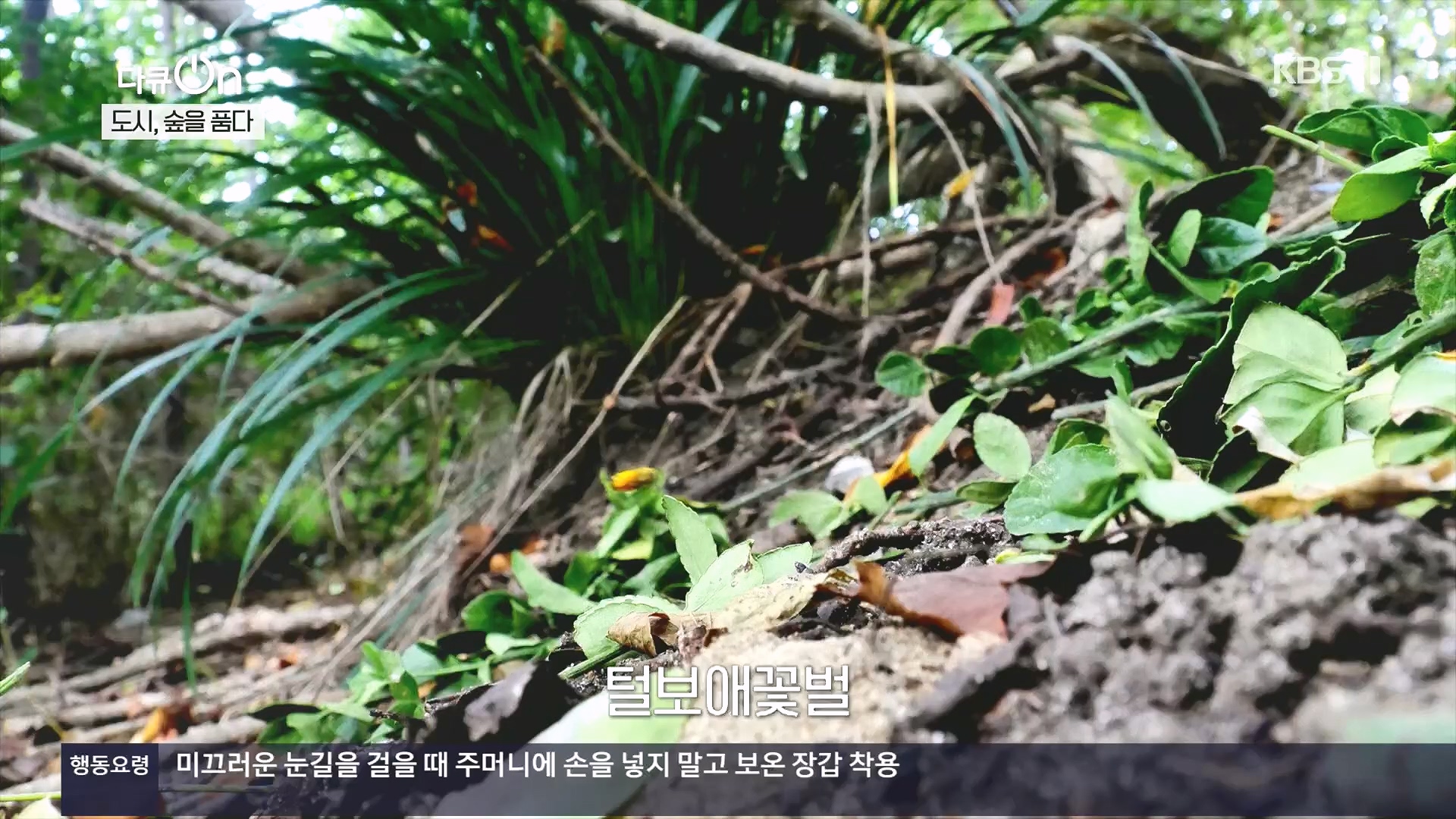 다큐 On.E232.231216p.H264-F1RST.mp4_20231220_212225.377.jpg
