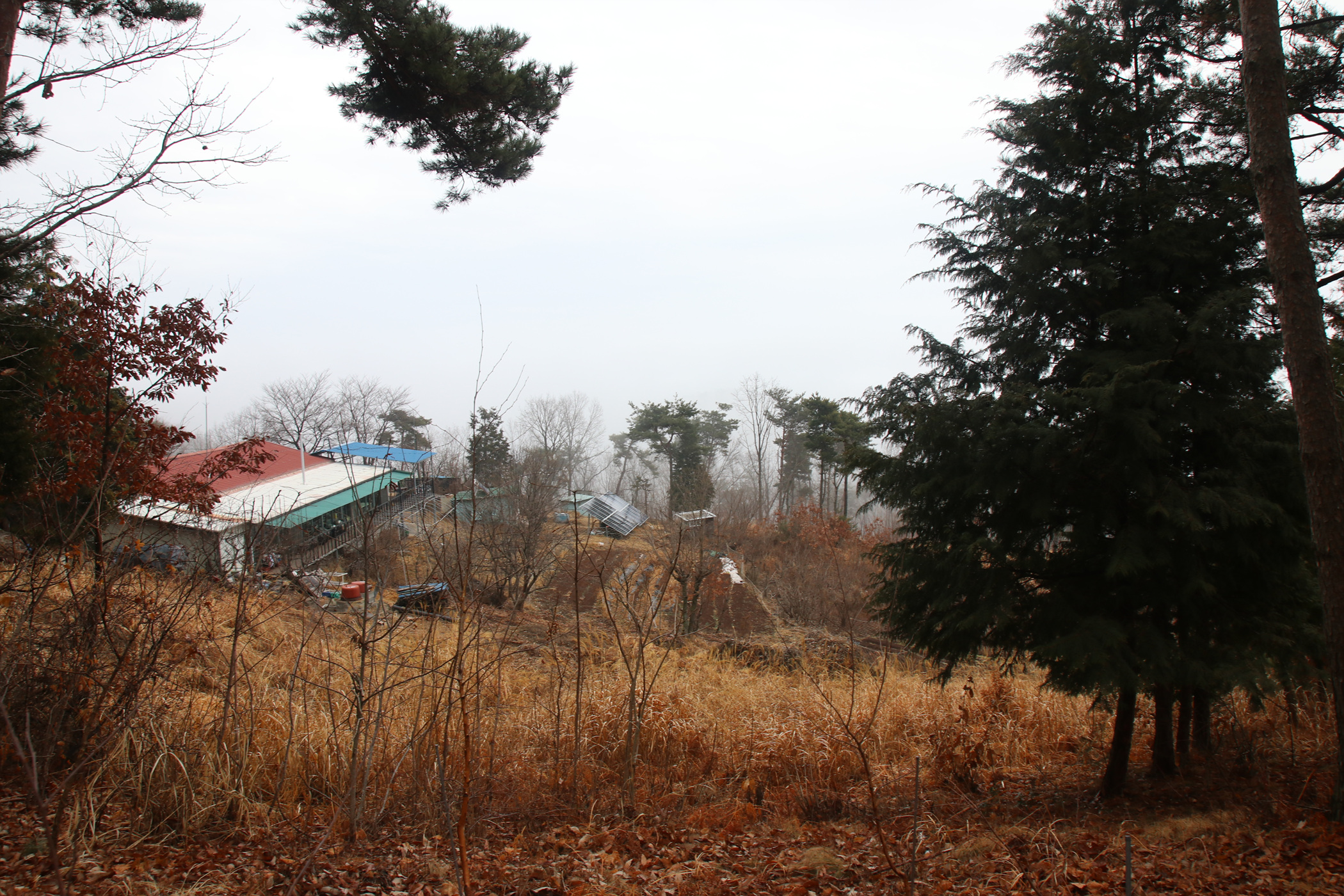 경남 의령군 국사봉 05 18