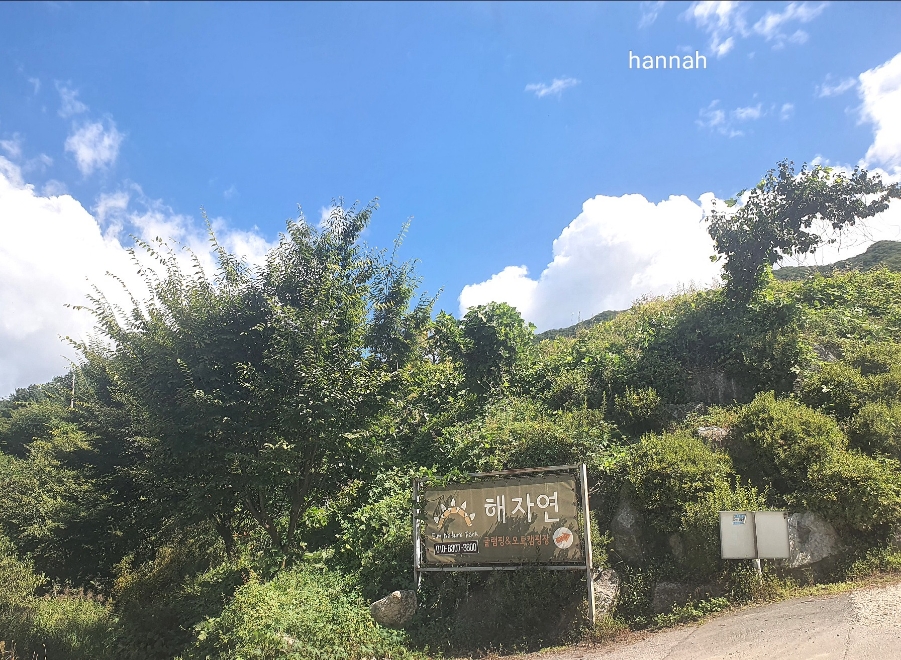 해자연 캠핑장 아이와 캠핑 10