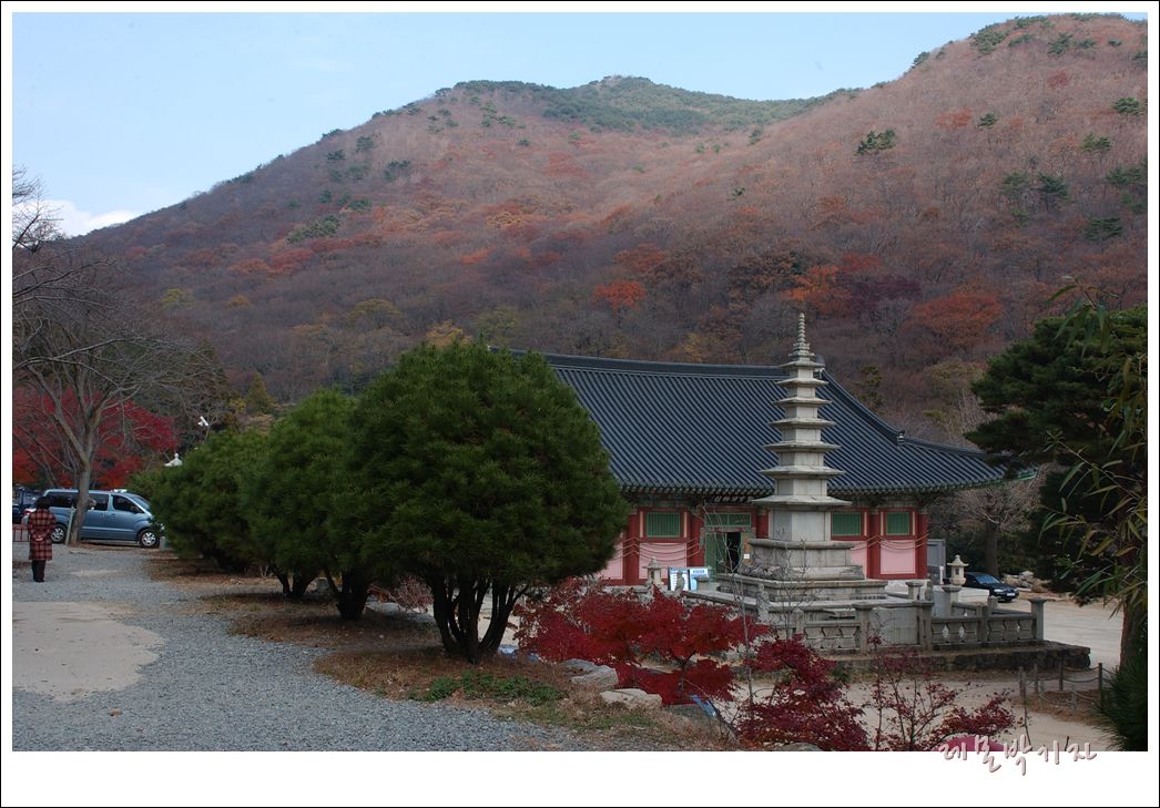  부산 범어사 _늦가을에 찾은 고요한 산사의 풍경