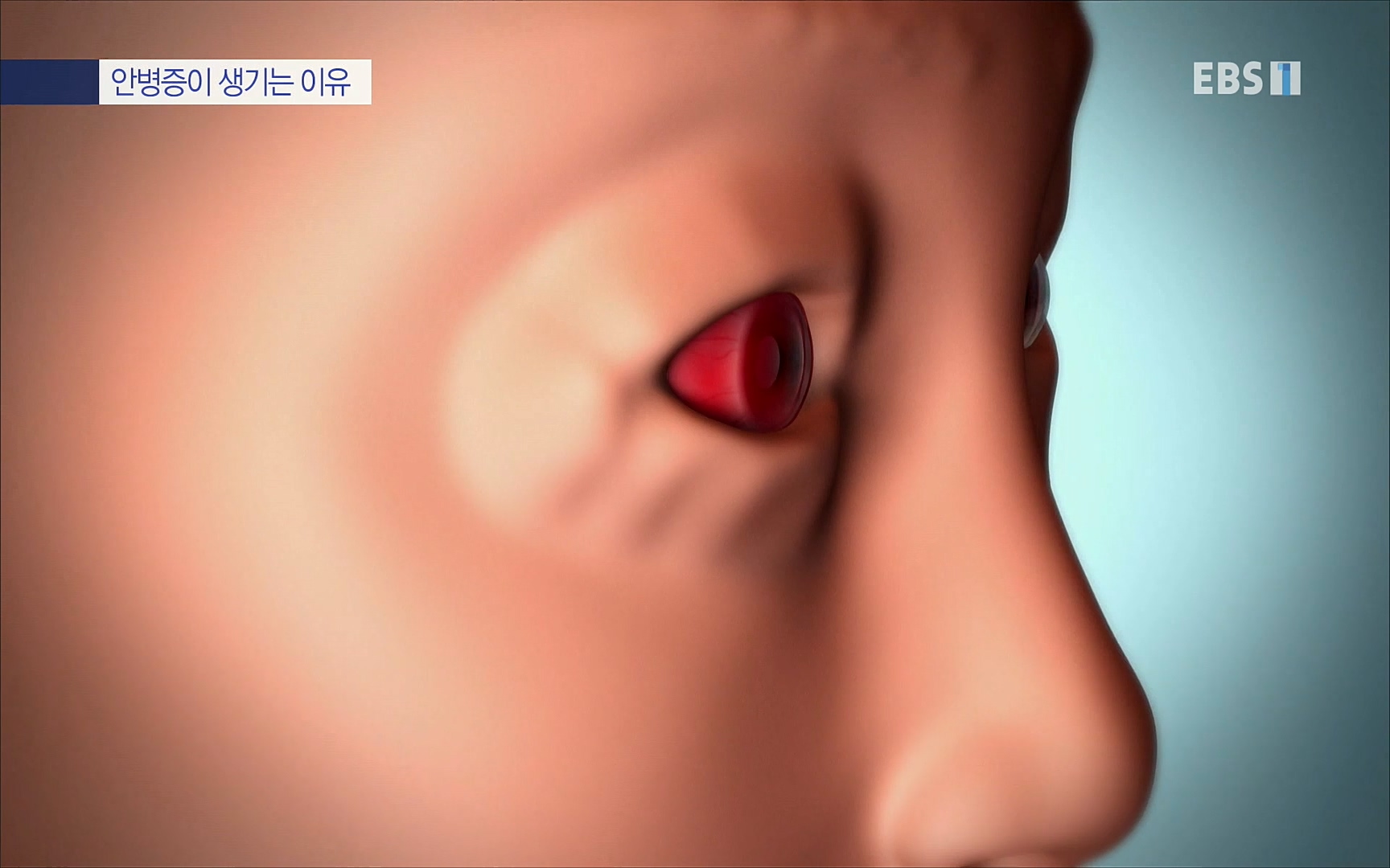 EBS 명의 헬스케어 - TV - 교육의 중심 EBS내 몸을 지배하는 7가지 호르몬 2부, 증상을 의심하자!.mp4_20220711_200206.479.jpg