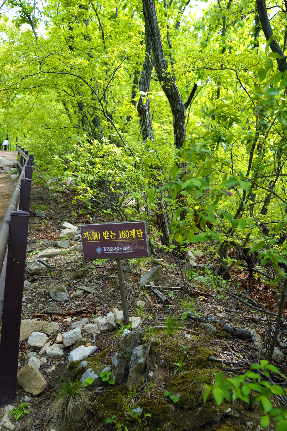 한국 명산 인천 강화 여행 마니산 등산 mountain hiking