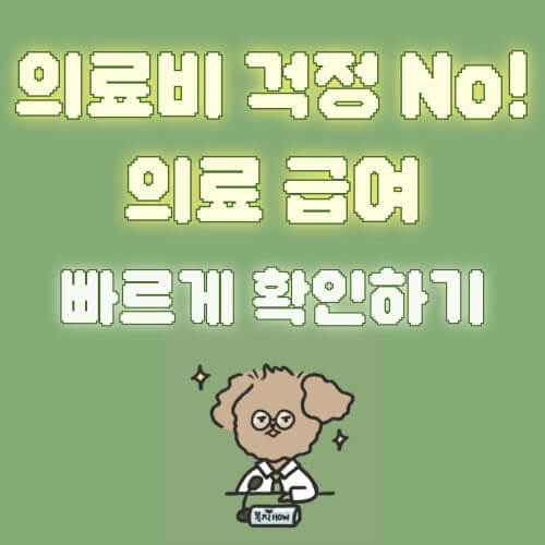 의료급여