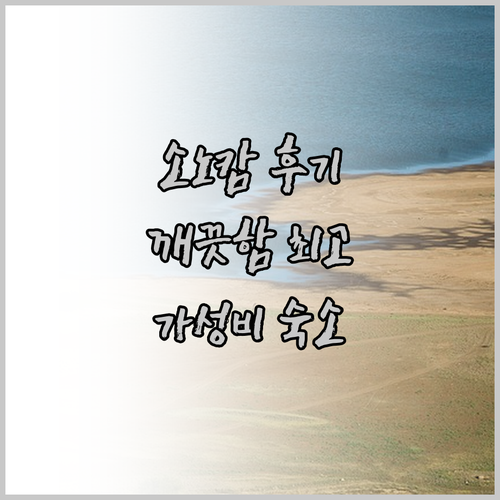 소노캄 비발디파크 숙박 후기! 깨끗함