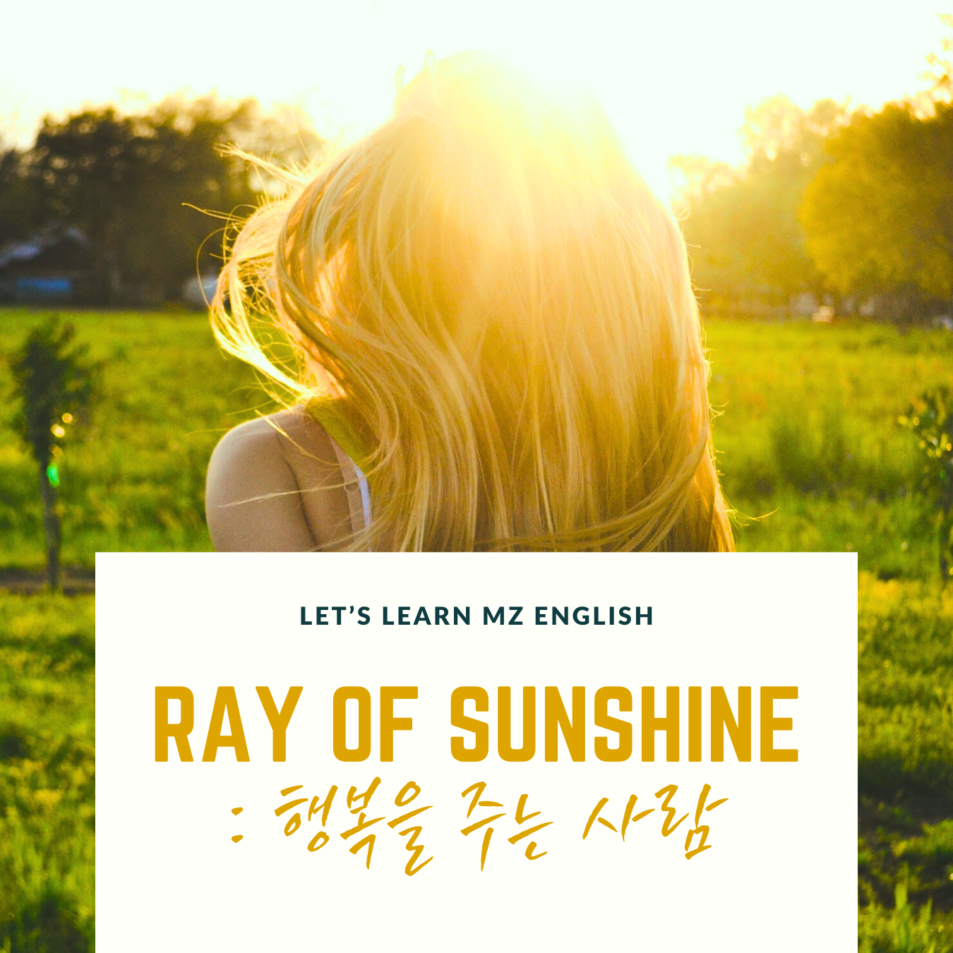 ray of sunshine
