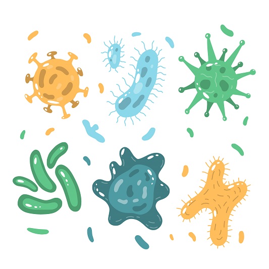 diet-lactic-acid-bacteria