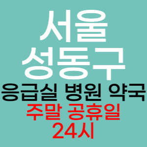 서울 성동구 주말 공휴일 약국 병원 응급실 찾기 토요일 일요일 야간진료 24시 영업시간