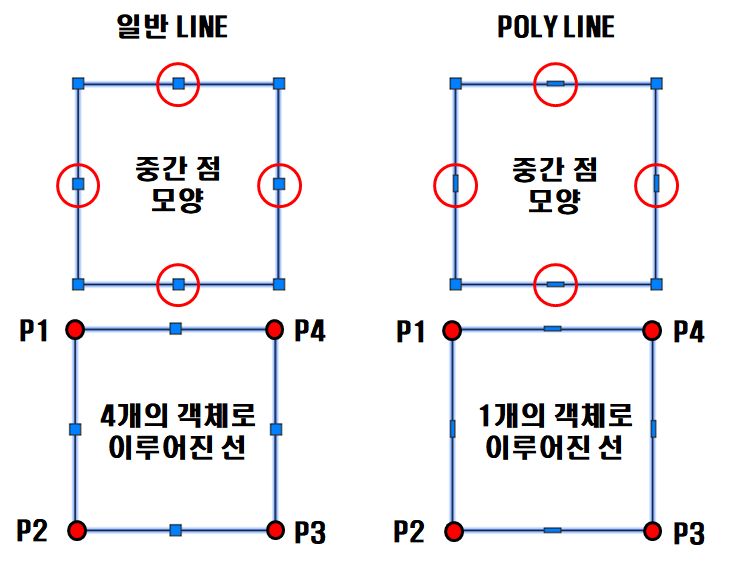  PLINE - 폴리선