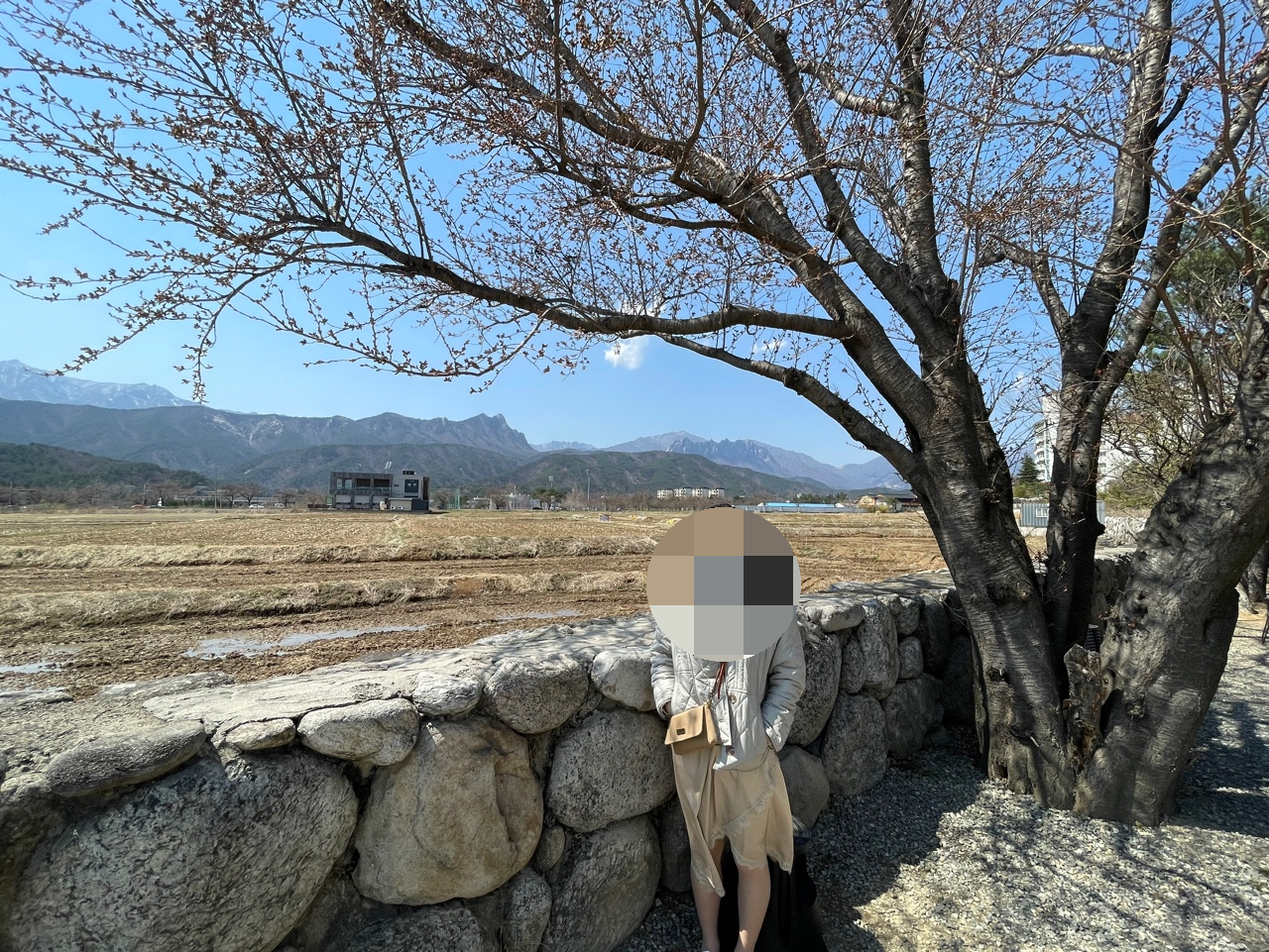 노학동 카페 추천