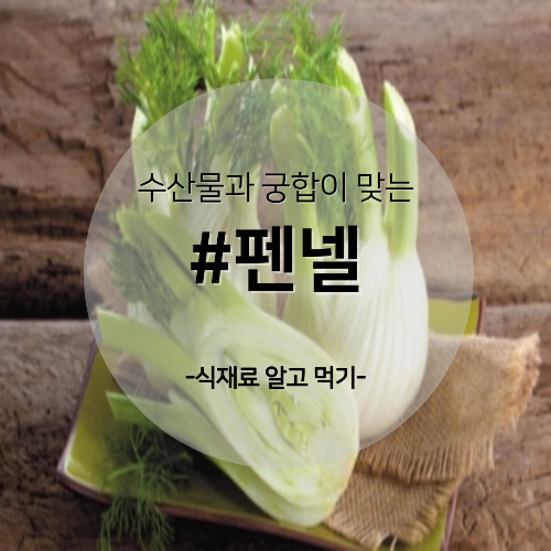  알고 먹기 39. #펜넬