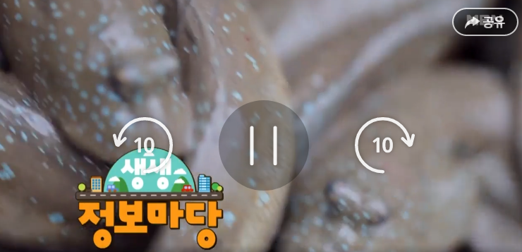  생생정보마당 짱뚱어탕 연잎밥 한우떡갈비정식 나는 자연산이다 대박의 기술
