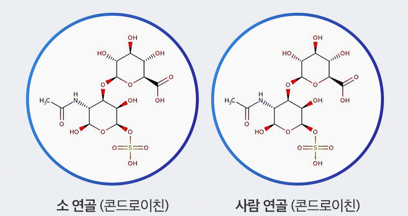 콘드로이친 효능, 복용법, 부작용, 콘드로이친 1200mg 추천, 콘드로이틴 콘드로이친 효능, 복용법, 부작용, 콘드로이친 1200Mg 추천, 콘드로이틴