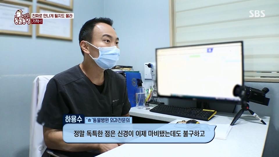 TV 동물농장.E1129.230716p.H264-F1RST.mp4_20230716_183622.812.jpg