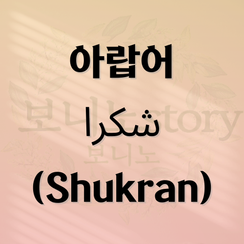 아랍어-고마워-사진