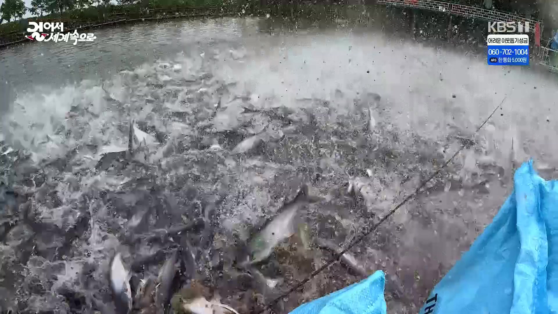 걸어서 세계속으로.E826.240120p.H264-F1RST.mp4_20240716_202735.090.jpg