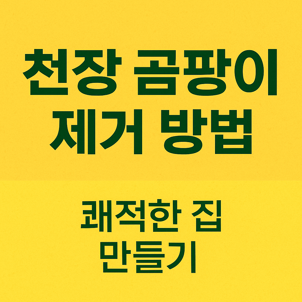 천장 곰팡이 제거 방법