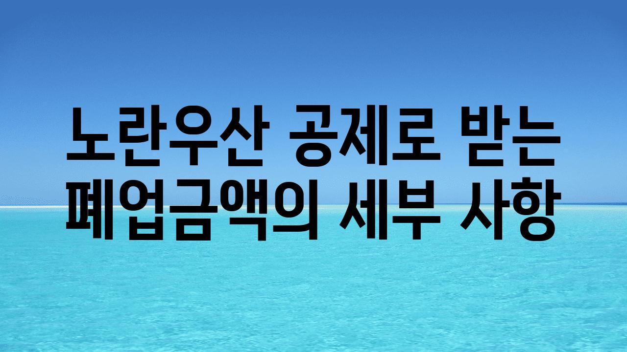 노란우산 공제로 받는 폐업금액의 세부 사항