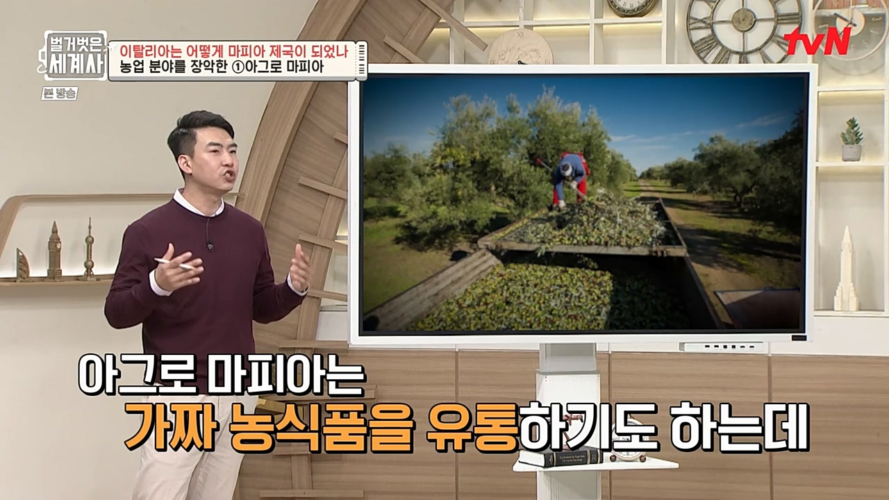 벌거벗은 세계사.E74.221123p-NEXT.mp4_20221205_203411.695.jpg