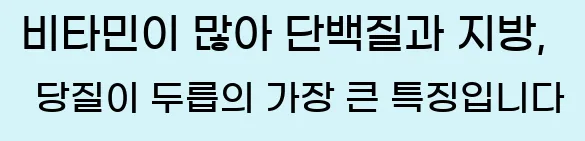  비타민이 많아 단백질과 지방, 당질이 두릅의 가장 큰 특징입니다