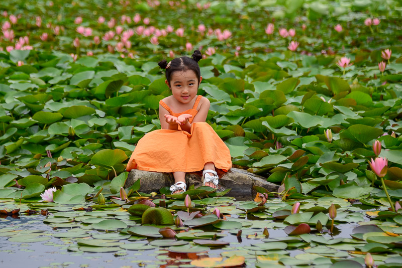 상리공원 이미지