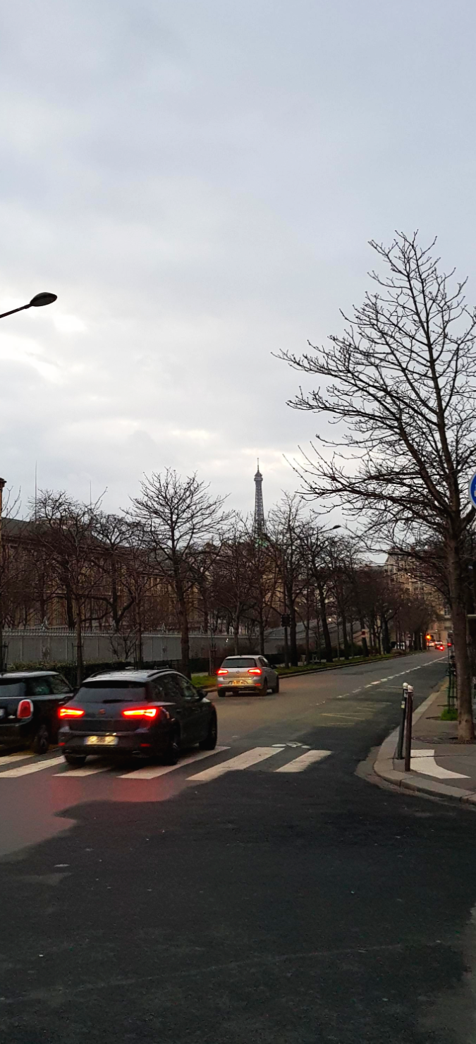 멀리서 보이는 에펠탑
