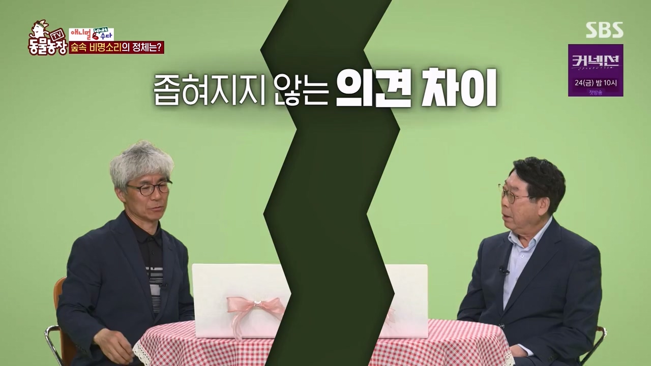 TV 동물농장.E1172.240520p-NEXT.mp4_20240519_165225.351.jpg