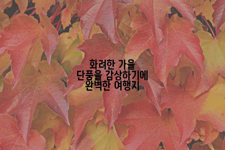 화려한 가을 단풍을 감상하기에 완벽한 여행지