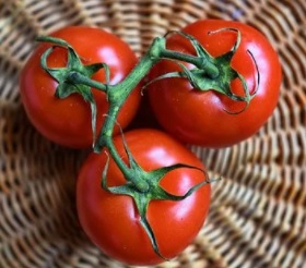 탈모-좋은음식-토마토
