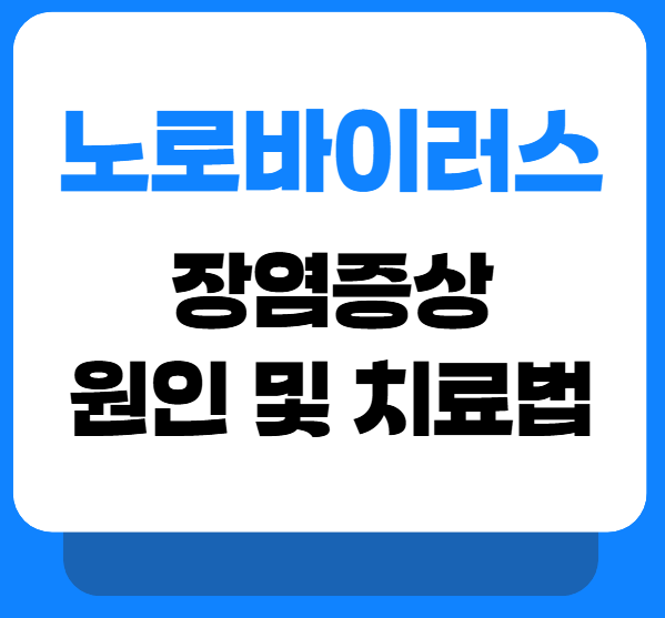 노로 바이러스 장염 증상