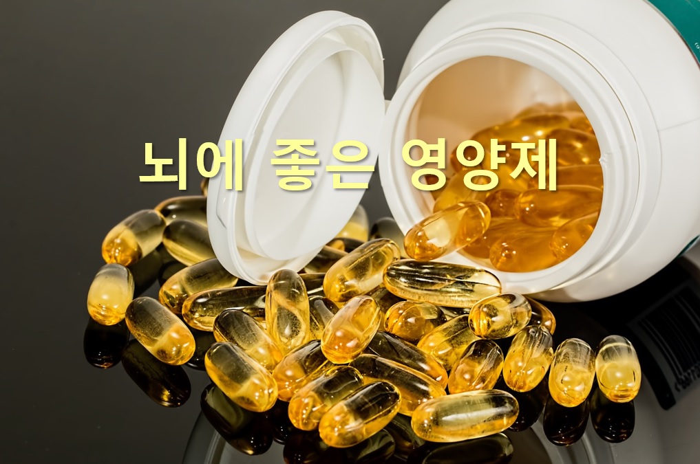  뇌에 좋은 음식과 뇌에 좋은 영양제