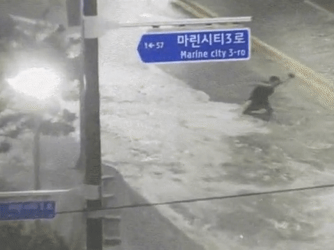  마린시티 파도 셀카봉 촬영 근황.gif