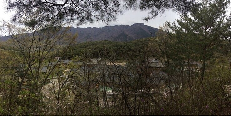  양산 영축산 통도사
