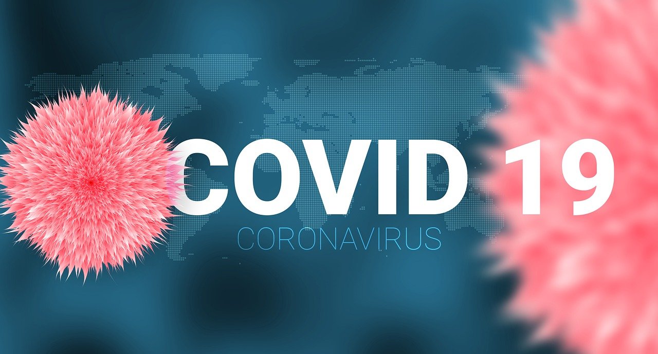 코로나 19 바이러스