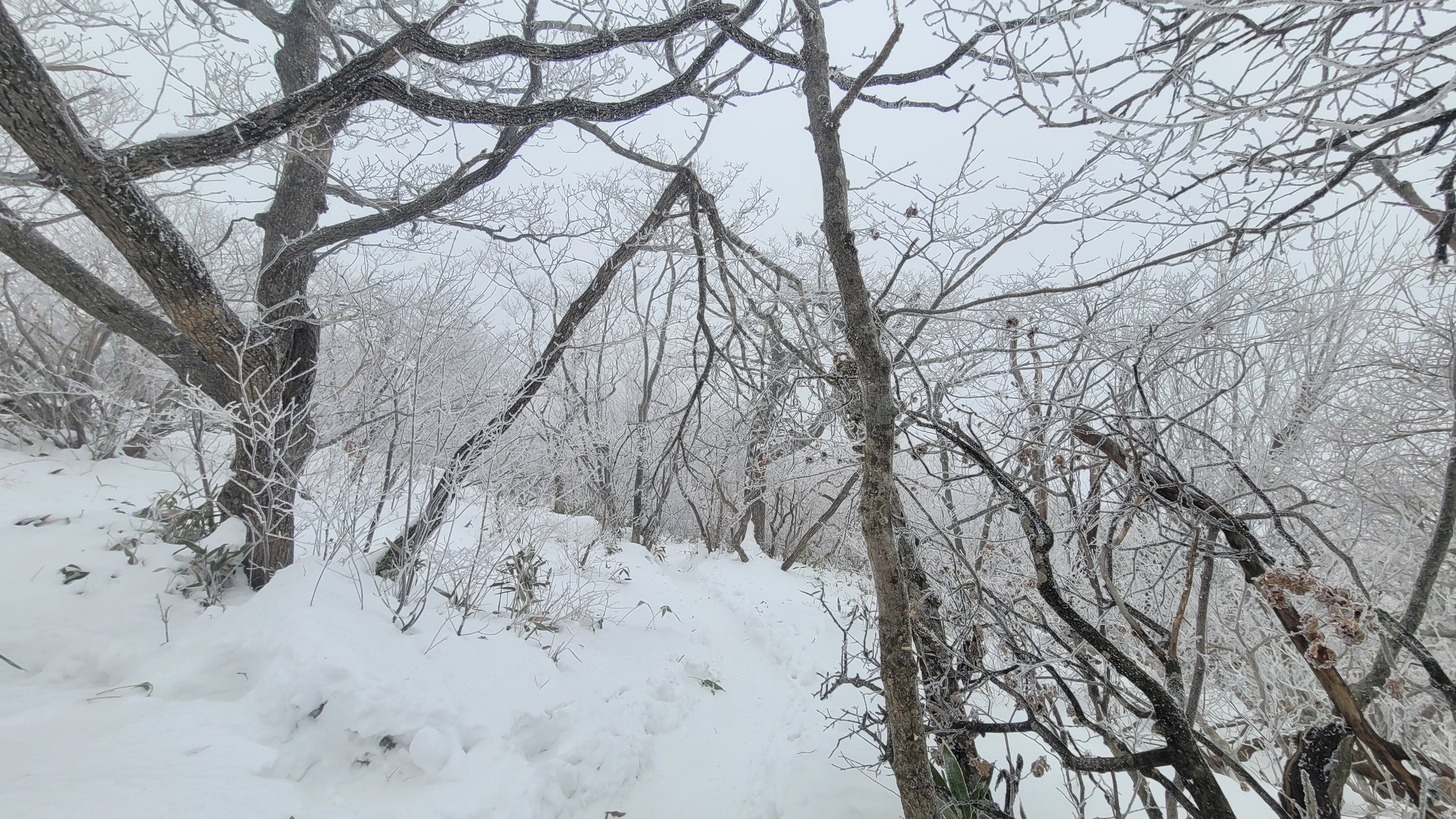 20221228_115208.jpg