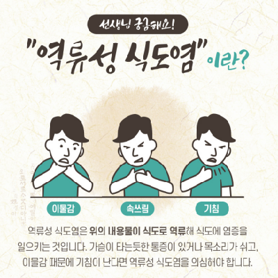  역류성 식도염의 원인과 증상, 좋은음식