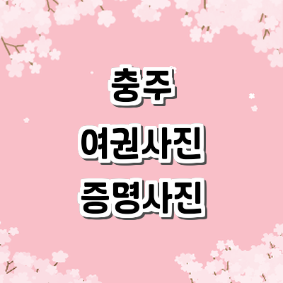 충주시 여권사진