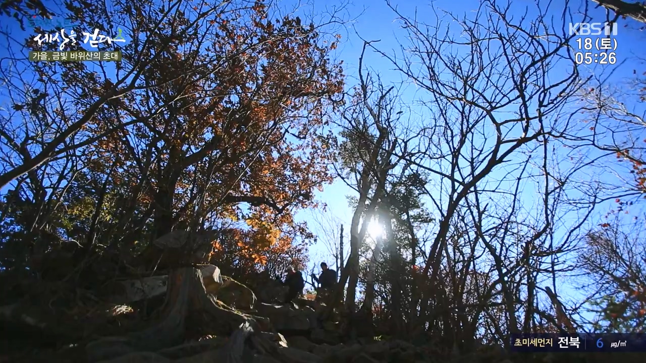 트레킹노트 세상을 걷다.E297.231119p-NEXT.mp4_20231123_212052.168.jpg