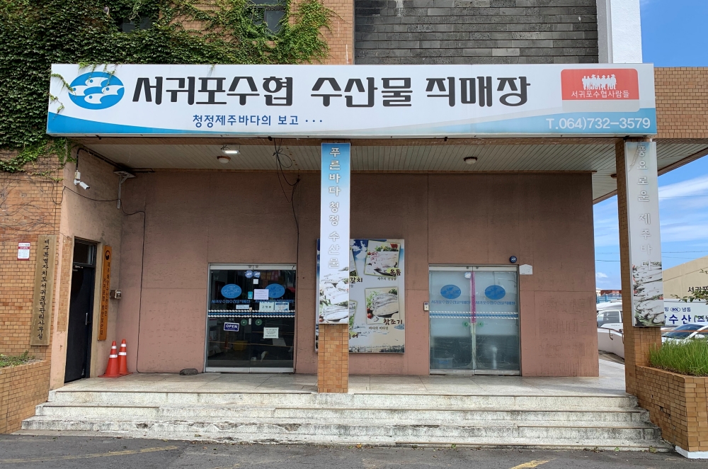 제주도 선물