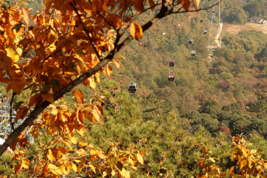 가을에는 삼악산 호수케이블카가 빛의 축제