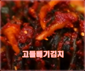 고들빼기김치 담는법 맛나게 쓴맛없애는방법꿀팁 고들빼기김치 담는법 맛나게 쓴맛없애는방법꿀팁