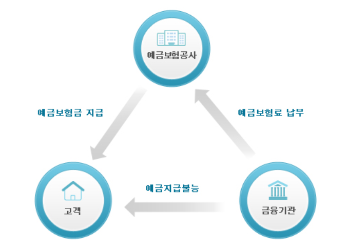 MG손해보험 파산
